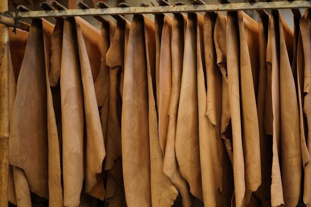 Bangladesh’s leather exports drop 64% in 10 yrs as CETP not complete