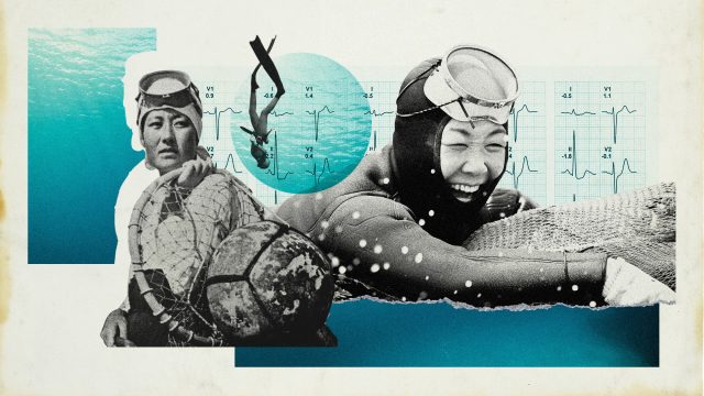 The genetic secrets of South Korea's female free-divers
