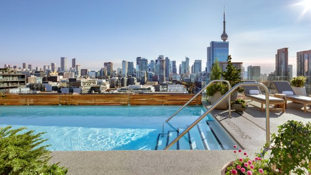 See the bright lights from these 7 big-city hotels