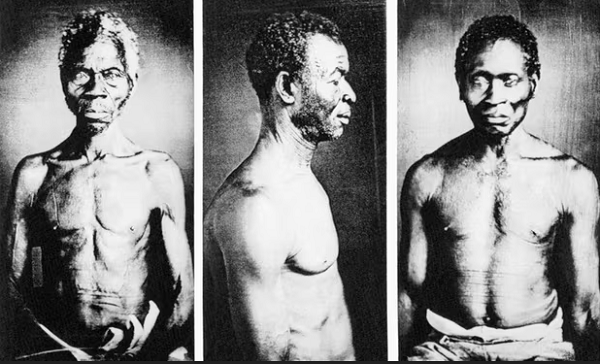 Harvard Outsourced Its Slavery Research. Then a Former Employee Began Notifying Descendants…