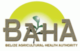 Vacancy at Belize Agricultural Health Authority for Accounts Payable Clerk