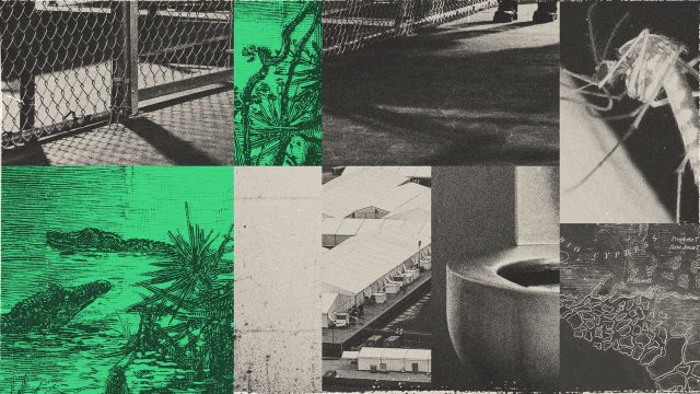 Insects and sewer water: the alleged conditions at 'Alligator Alcatraz'