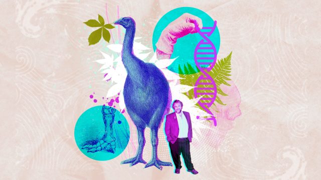Scientists and Peter Jackson attempt to bring back an extinct bird — kind of