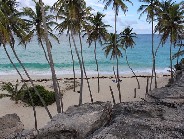 Barbados Has a Beach You’ll Never Forget—Clifftop Views, Crashing Waves, and No Crowds