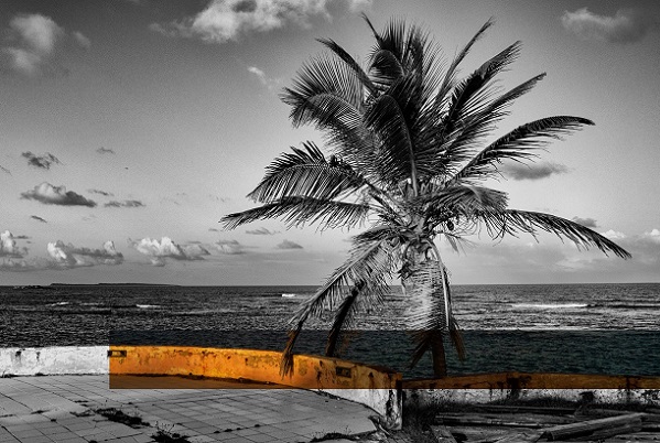 Call for Papers: “Where Oceans Join”