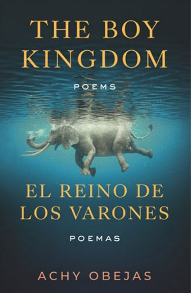 New Book— “The Boy Kingdom: Poems”