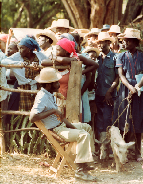 PAMM Screening— “The Creole Pig: Haiti’s Great Loss”