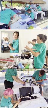 8/2/2025: News: PURR-FECT PARTNERSHIP