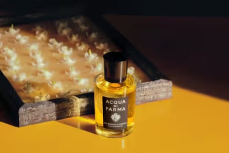 Opal Jasmine Craft Fragrances - The Gelsomino a Freddo Eau De Parfum Pairs Jasmine with Black Tea (TrendHunter.com)