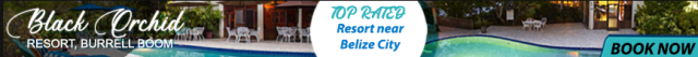 Taiwanese master chefs showcase authentic cuisine in Belize