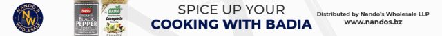 CRESAP Project and Ministry of Agriculture partner to provide training on water management in Biscayne Village
