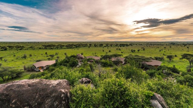 Experience Tanzania’s untamed wilderness from Lemala’s luxury lodges