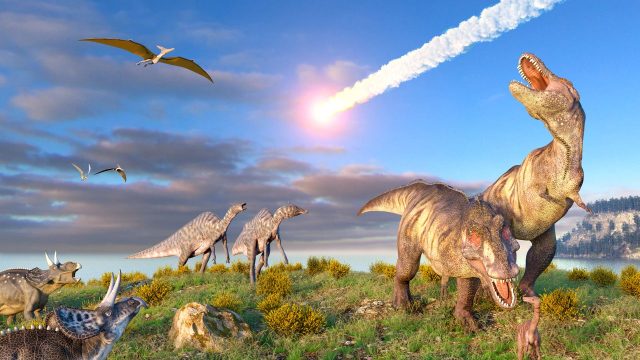 Dinosaurs were thriving before asteroid, study finds