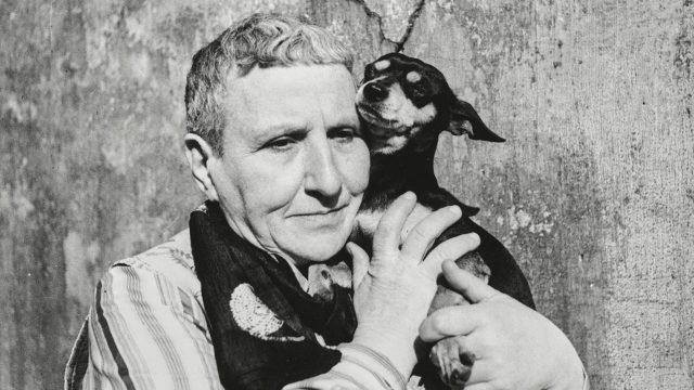 Book reviews: ‘Gertrude Stein: An Afterlife’ and ‘Make Me Commissioner: I Know What’s Wrong With Baseball and How to Fix It’
