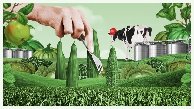 Trump’s deportations are changing how we think about food
