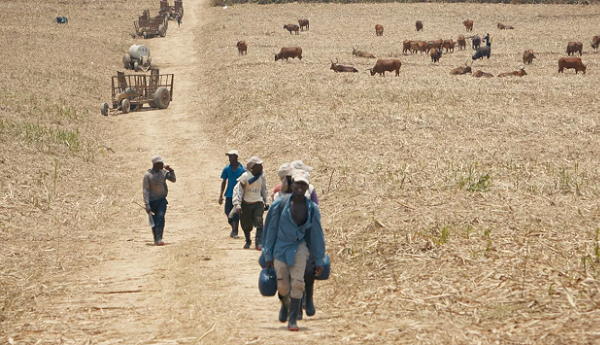 Film: “Le Sucre, pour la douceur et pour le pire”