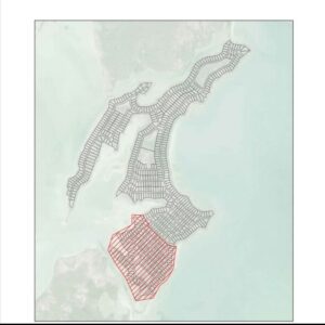 Opposition calls for full disclosure on Silver Palms Mega Development