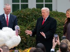 Quiz of The Week: 22 – 28 November