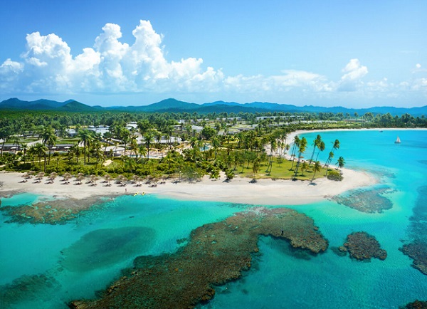 Colección Tropicalia opens first call for Caribbean artists