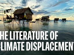 CfP: The Literature of Climate Displacement (Public Humanities)