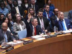 UN Security Council backs Trump’s Gaza peace plan