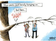 5 snappily written cartoons about vanishing food stamp benefits