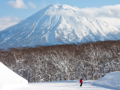 A dreamy skiing adventure in Niseko