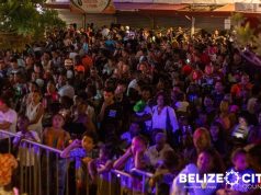 Christmas Season begins Friday night with Tree Lighting Ceremony on Albert Street