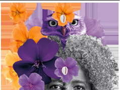 FLUP 2025 (Festa Litéraria das Periferias, Rio de Janeiro)