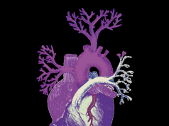 Exhibition / Digital Intervention: Fanon, anti-colonial revolutionary…” and “Códigos negros”