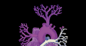 Exhibition / Digital Intervention: Fanon, anti-colonial revolutionary…” and “Códigos negros”