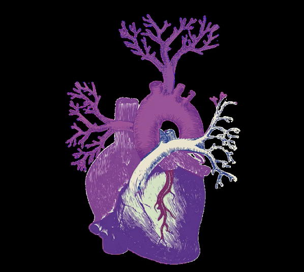 Exhibition / Digital Intervention: Fanon, anti-colonial revolutionary…” and “Códigos negros”