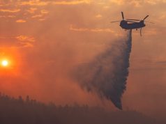 ‘Not all news is bad’