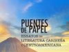 New Book— “Puentes de papel: Ensayos de literatura caribeña y centroamericana”