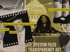 Donald Trump and Jeffrey Epstein: a Timeline