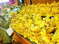 ‘Officials say exporters pay the tariffs, but consumers see the opposite’