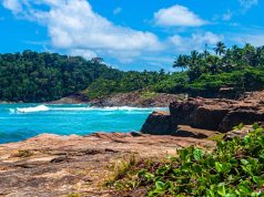 Winter holidays in the snow and sun