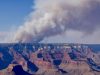 ‘Managed wildfires have spread out of control before’