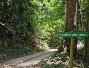 Bulridge Ltd. rejects claims made in Channel 7 News report on Chiquibul Forest Reserve