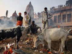 The week’s best photos