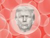 Is Trump in a bubble?
