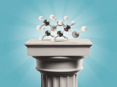 Choline: the ‘under-appreciated’ nutrient