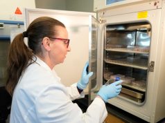 ‘The choice isn’t between domestic and foreign talent; the nation was built on both’