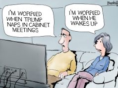 5 sleeper hit cartoons about Sleepy Don