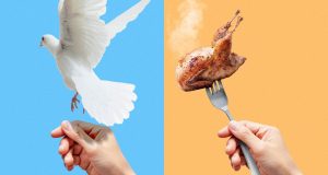 Are Trump’s peace deals unraveling?