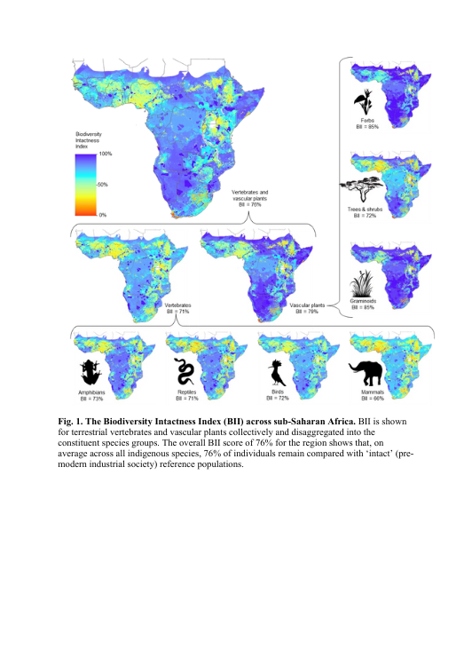 Sub-Sahara’s severe nature losses