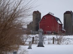 Will Trump’s $12 billion bailout solve the farm crisis?