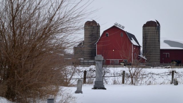 Will Trump’s $12 billion bailout solve the farm crisis?