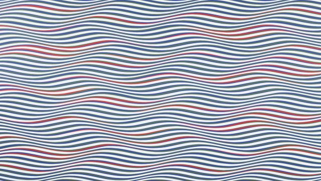 Bridget Riley: Learning to See – an ‘invigorating and magical ensemble’