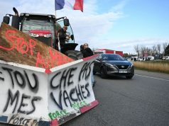 ‘Lumpy skin’ protests intensify across France as farmers fight cull